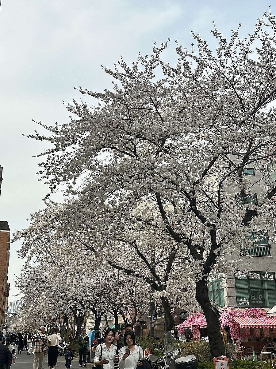 Parole & langue 延南洞下午茶