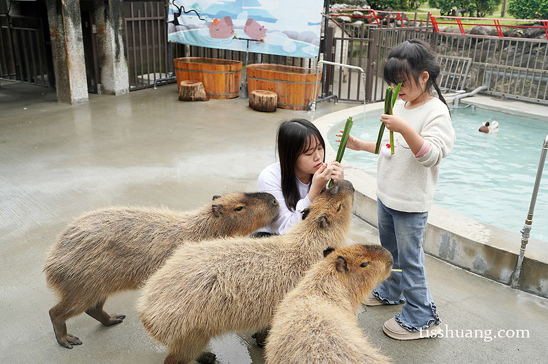【飯店團購】宜蘭綠舞國際觀光飯店｜一泊一食$5488，加贈1位12歲以下兒童免費入住、五項設施體驗!