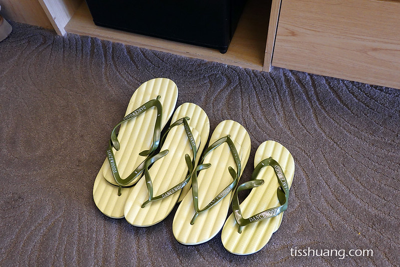 【飯店團購】宜蘭綠舞國際觀光飯店｜一泊一食$5488，加贈1位12歲以下兒童免費入住、五項設施體驗!