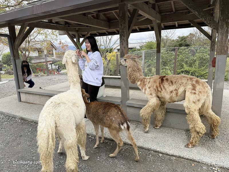 【飯店團購】宜蘭綠舞國際觀光飯店｜一泊一食$5488，加贈1位12歲以下兒童免費入住、五項設施體驗!