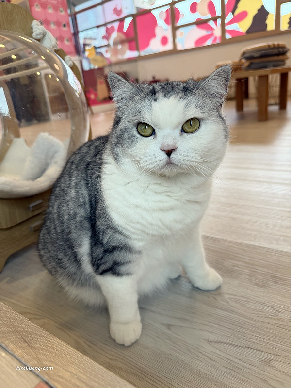 【飯店團購】宜蘭綠舞國際觀光飯店｜一泊一食$5488，加贈1位12歲以下兒童免費入住、五項設施體驗!