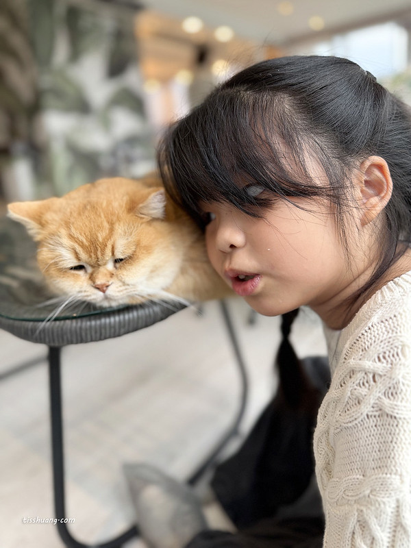 【飯店團購】宜蘭綠舞國際觀光飯店｜一泊一食$5488，加贈1位12歲以下兒童免費入住、五項設施體驗!