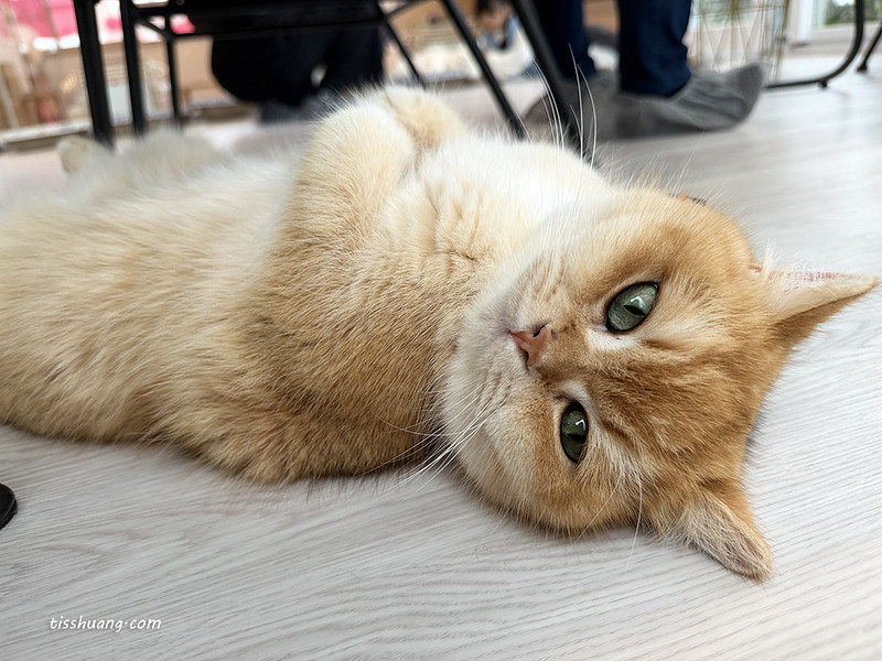 【飯店團購】宜蘭綠舞國際觀光飯店｜一泊一食$5488，加贈1位12歲以下兒童免費入住、五項設施體驗!