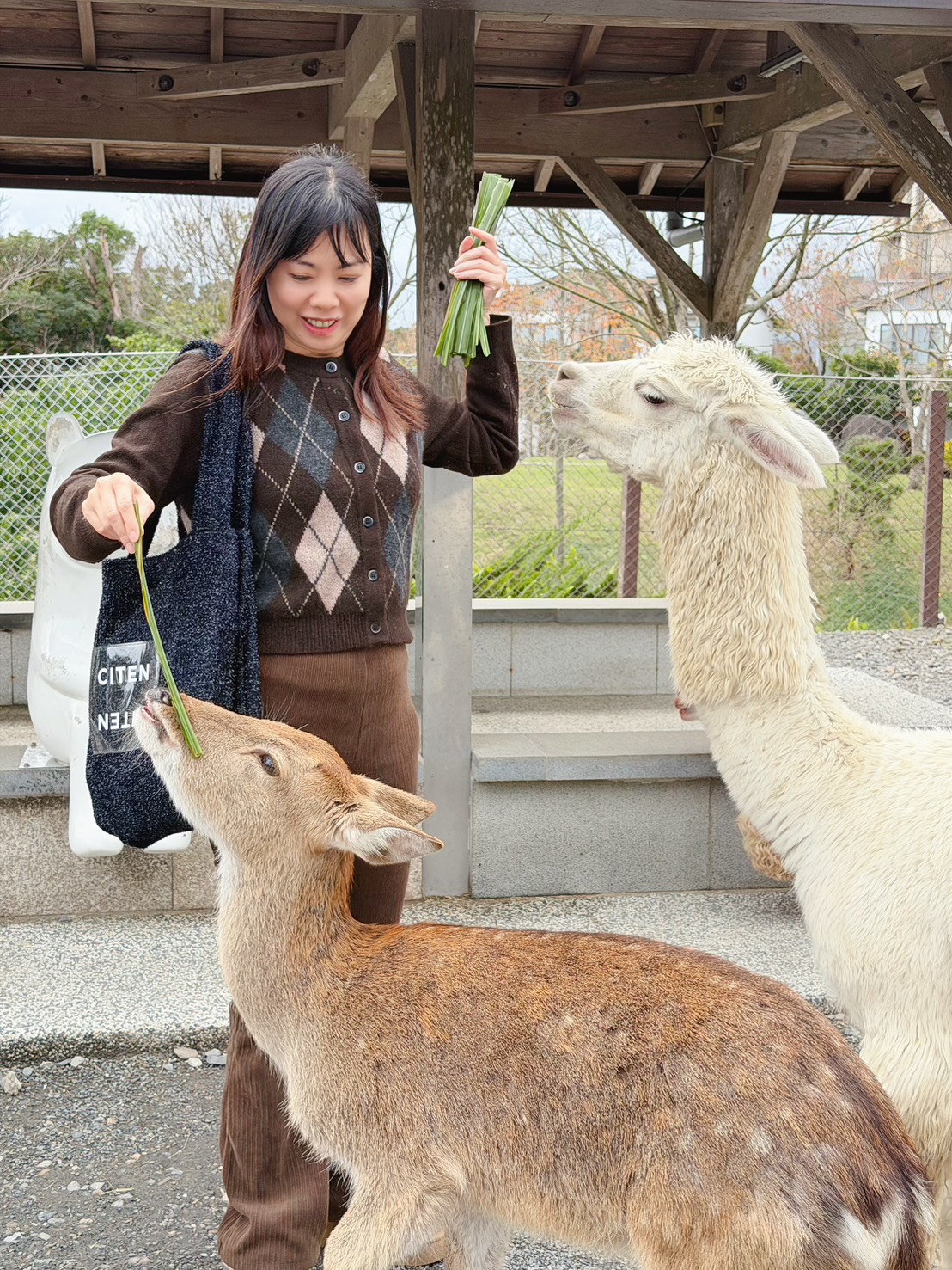 【飯店團購】宜蘭綠舞國際觀光飯店｜一泊一食$5488，加贈1位12歲以下兒童免費入住、五項設施體驗!