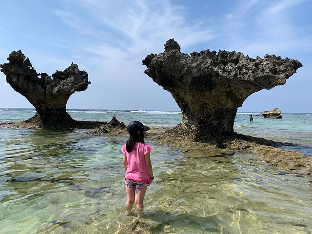 【沖繩一日遊KKday推薦】不開車也能玩遍美麗海水族館、古宇利島、萬座毛行程全攻略