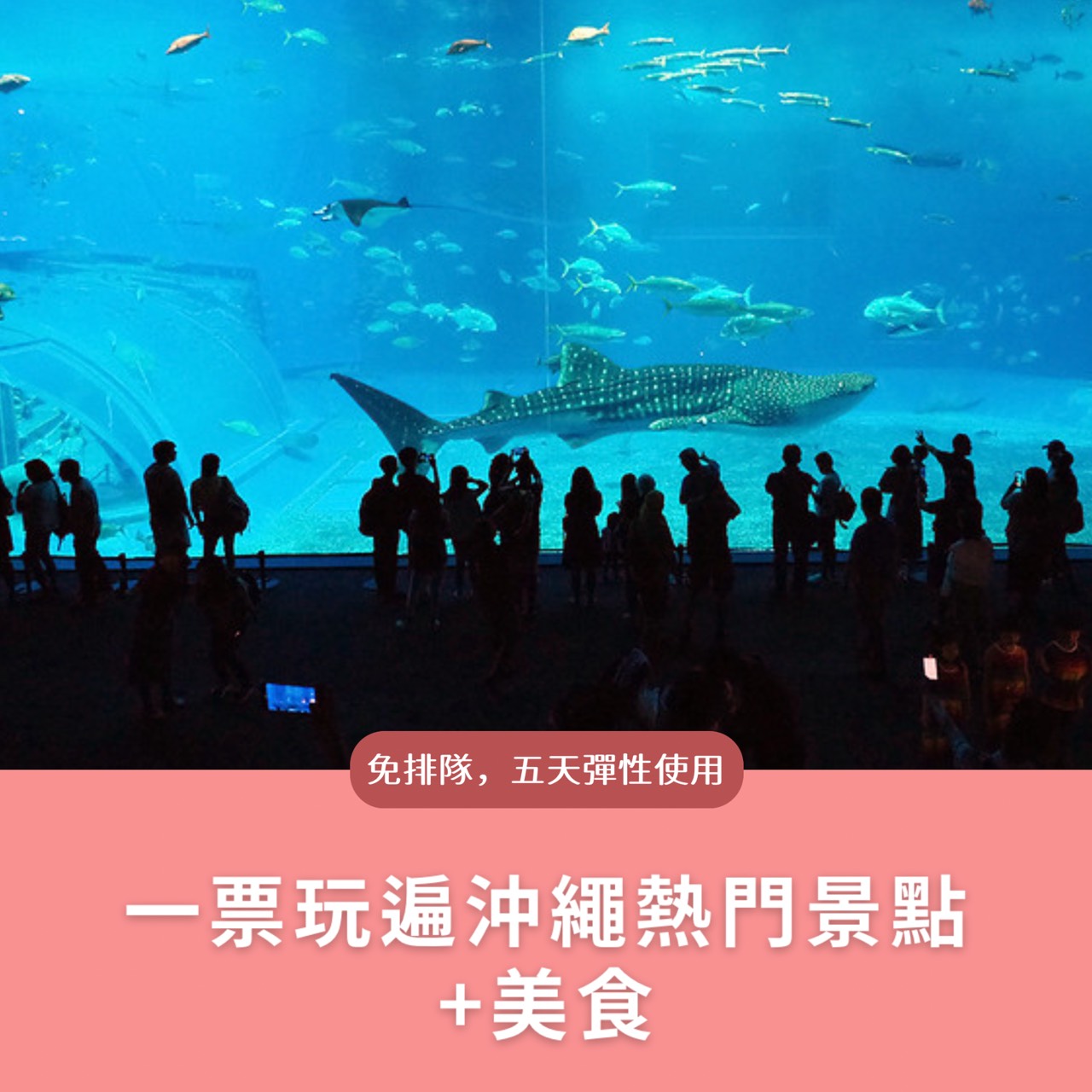 【沖繩FunPass美麗海系列套票】一票玩遍美麗海水族館＋熱門景點｜玩法教學、省錢祕訣、行程建議