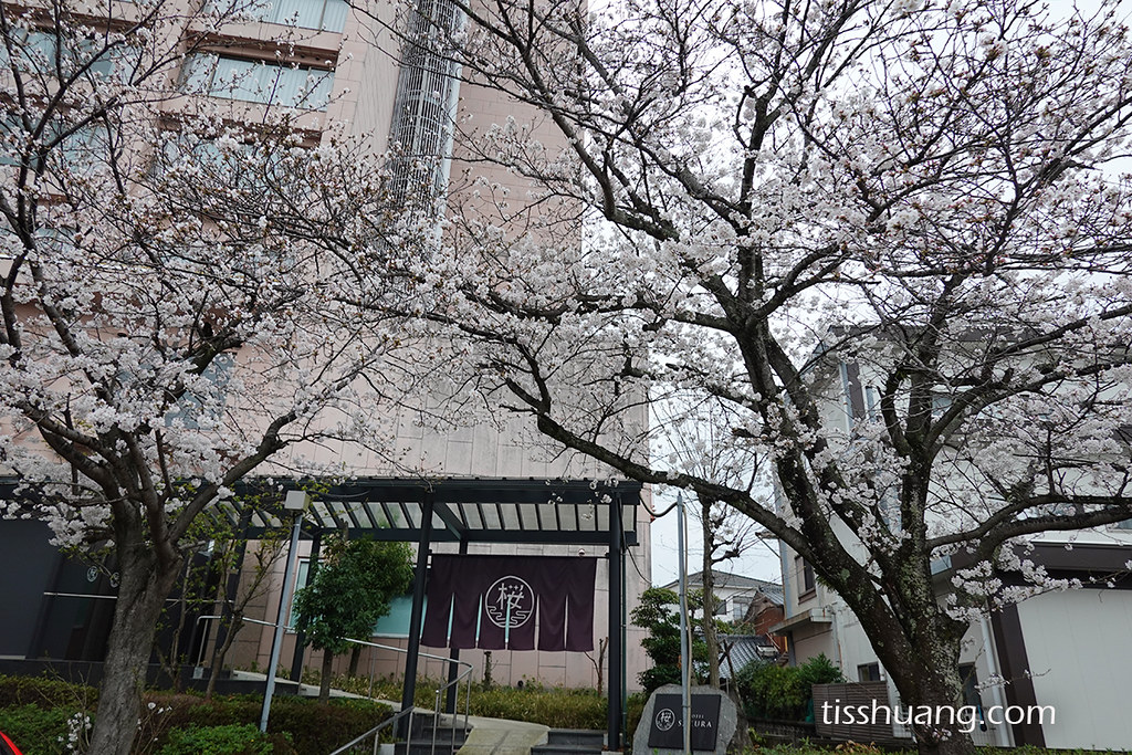 【九州溫泉飯店推薦】佐賀嬉野溫泉櫻花飯店，櫻花季入住最浪漫的溫泉住宿體驗
