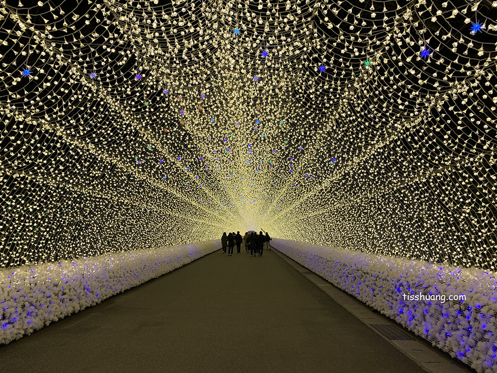 【名古屋景點推薦】名花之里點燈時間實訪分享｜全家一起走進日本最夢幻的冬季光之饗宴