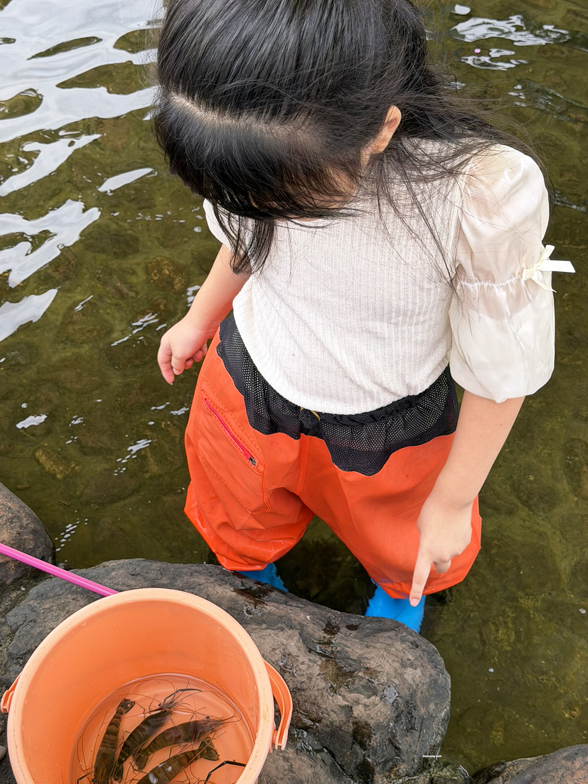 礁溪景點, 宜蘭親子景點, 礁溪親子景點, 輕親魚朵, 輕親魚朵收費 - TISS玩味食尚 宜蘭礁溪親子景點推薦!輕親魚朶生態園區,大塭休閒農場釣魚、抓蝦,孩子玩到不想回家!