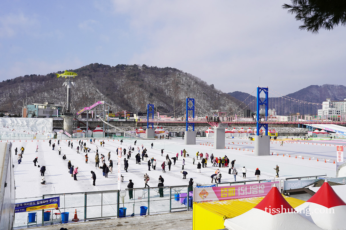 華川山鱒魚慶典親子旅遊攻略