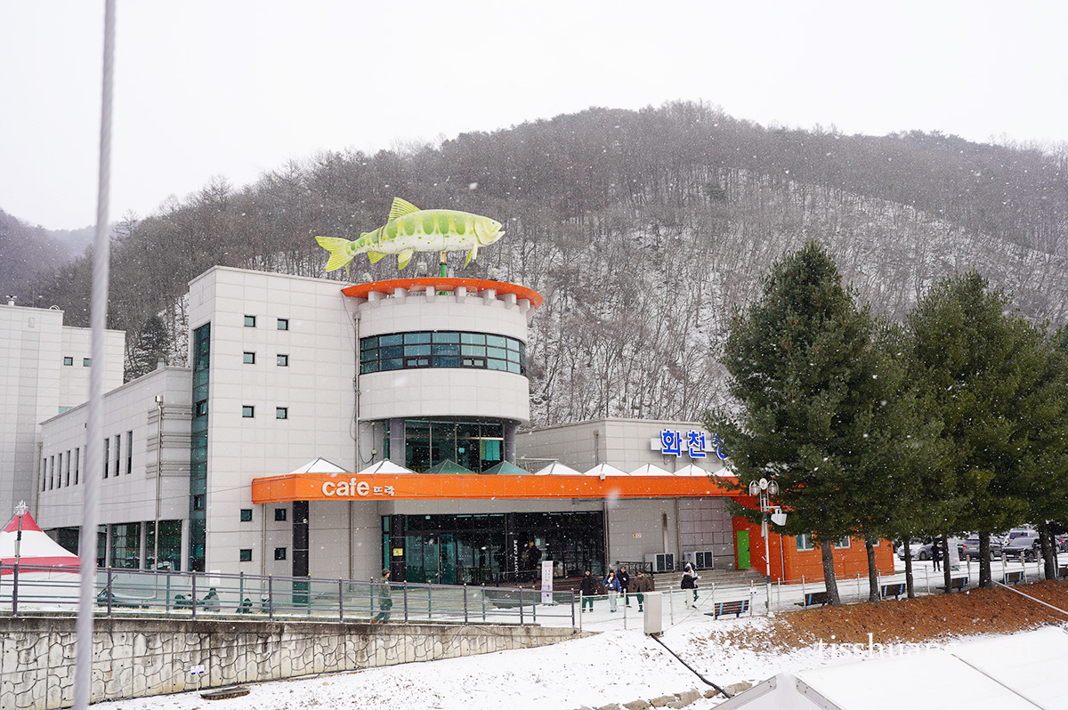 華川山鱒魚慶典親子旅遊攻略