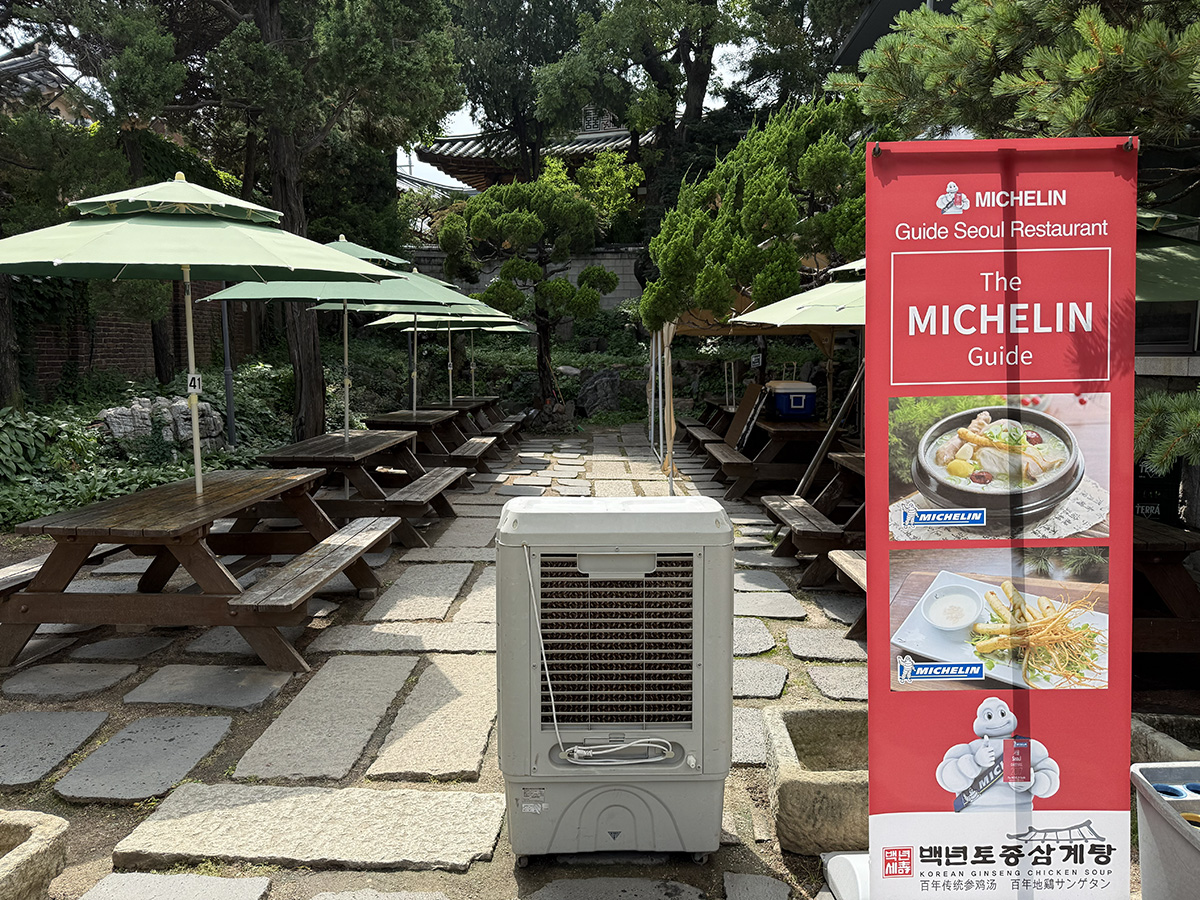 北村百年土種蔘雞湯