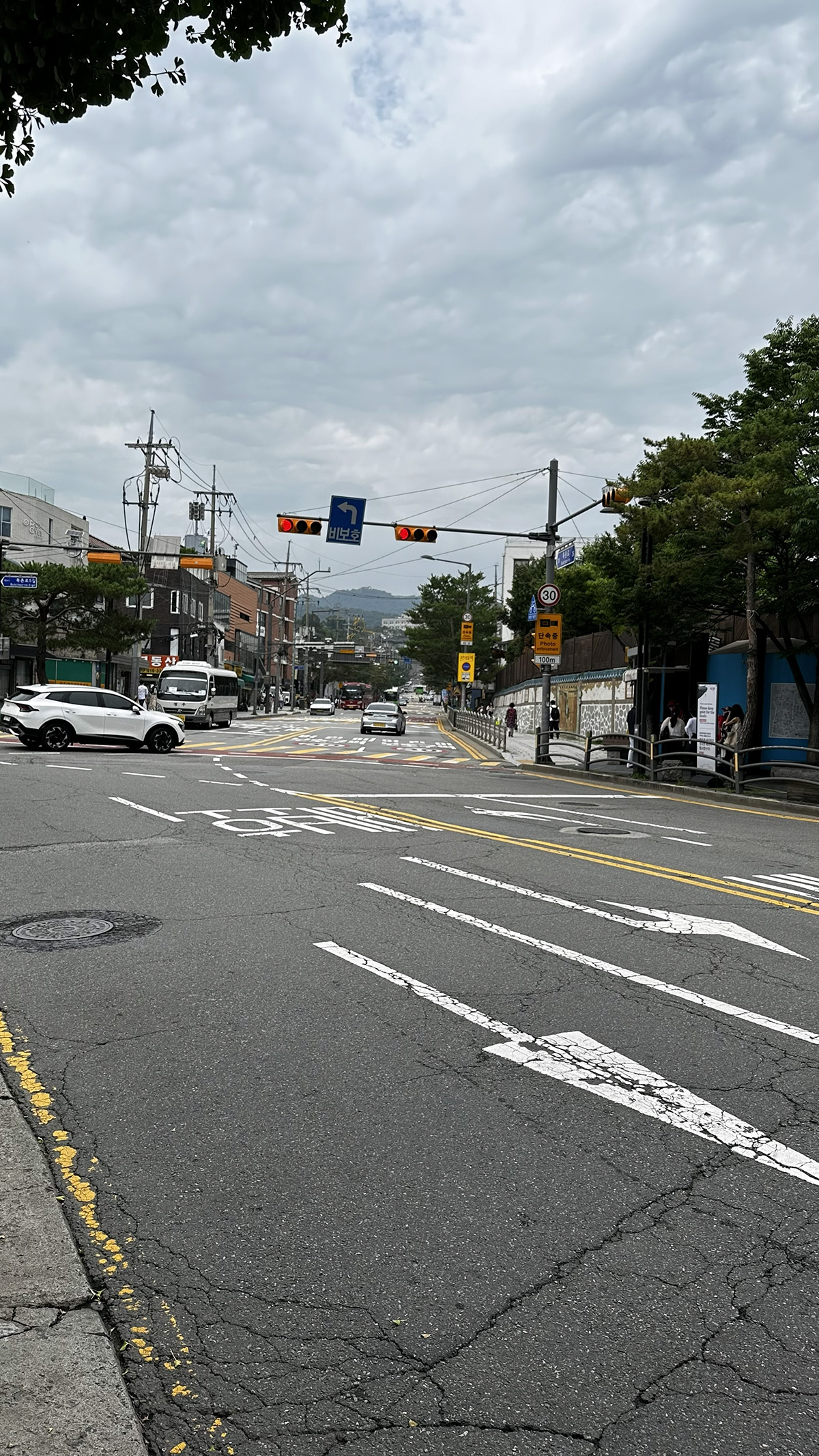 北村百年土種蔘雞湯